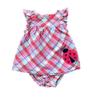 6M Ladybug ruffle dress